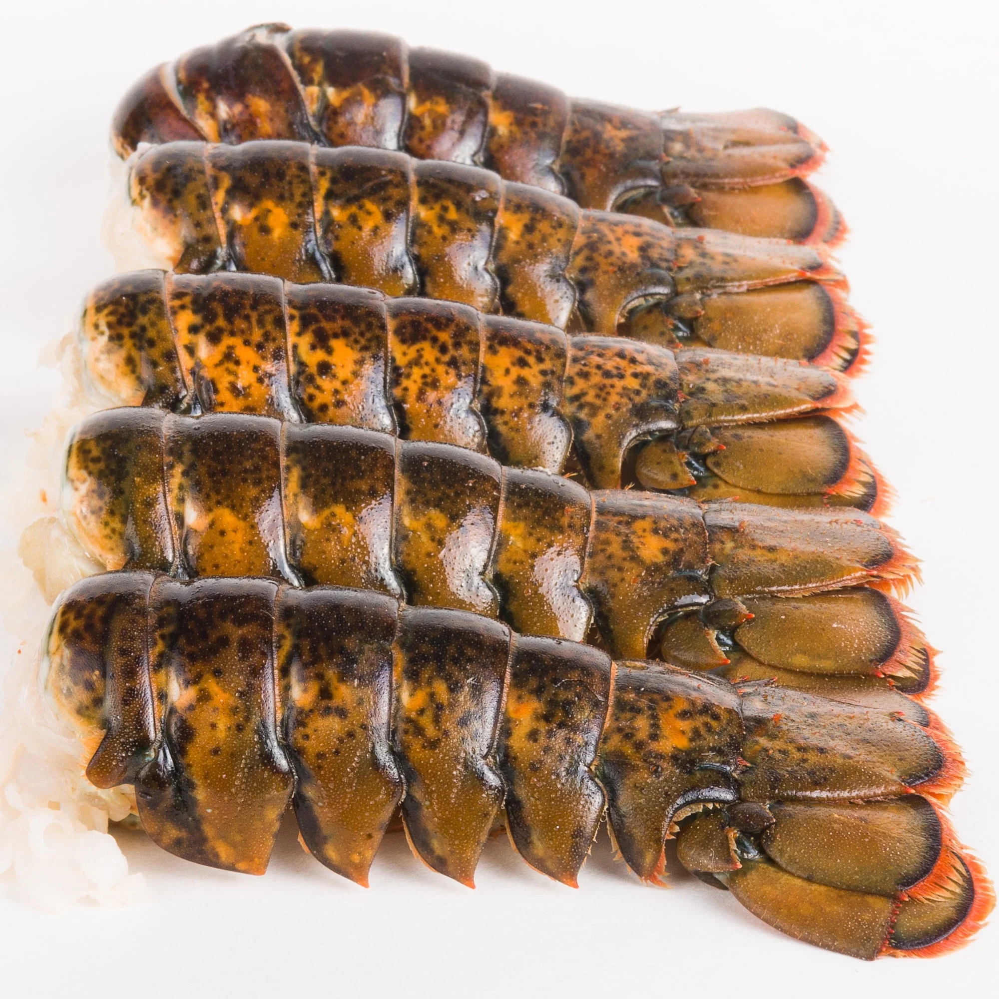 Today Gourmet Lobster Tails - 8oz.-10oz. - (12 Tails)